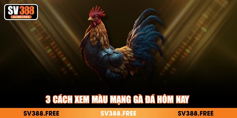 3 cách xem màu mạng gà đá hôm nay 