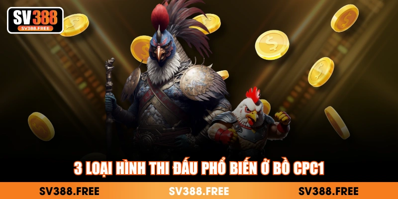 3 loại hình thi đấu phổ biến ở bồ CPC1