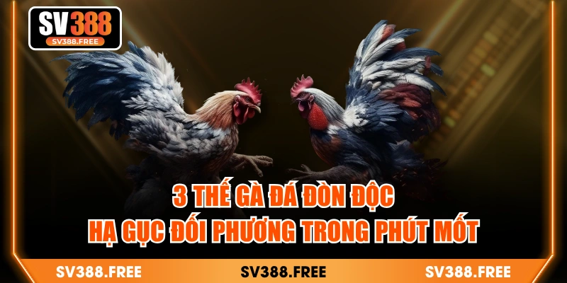 3 Thế Gà Đá Đòn Độc Hạ Gục Đối Phương Trong Phút Mốt