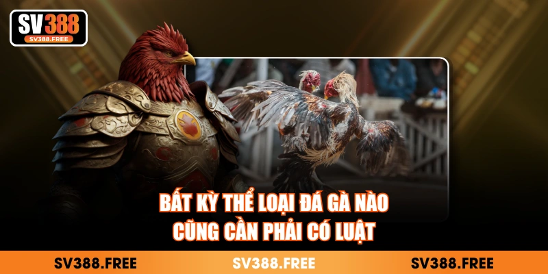 Bất kỳ thể loại đá gà nào cũng cần phải có luật