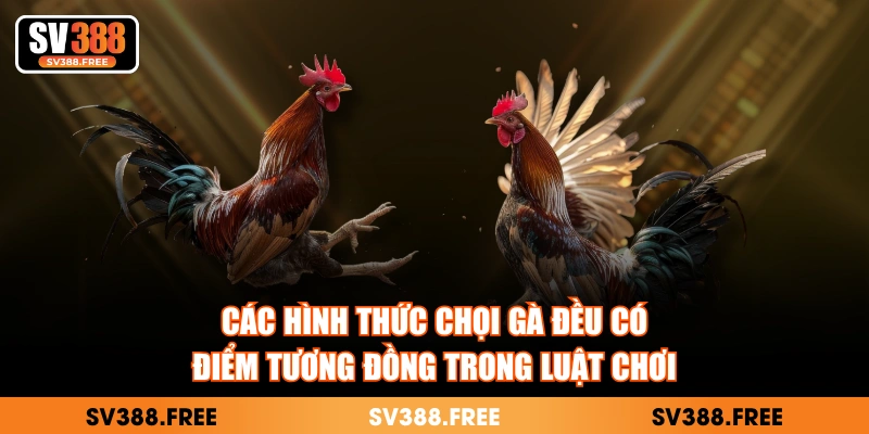 Các hình thức chọi gà đều có điểm tương đồng trong luật chơi