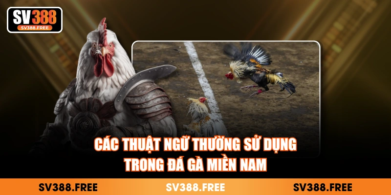 Các thuật ngữ thường sử dụng trong đá gà miền nam