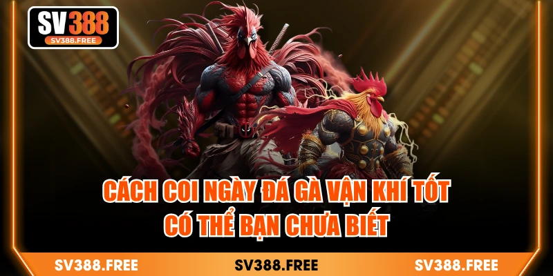 Cách Coi Ngày Đá Gà Vận Khí Tốt Có Thể Bạn Chưa Biết