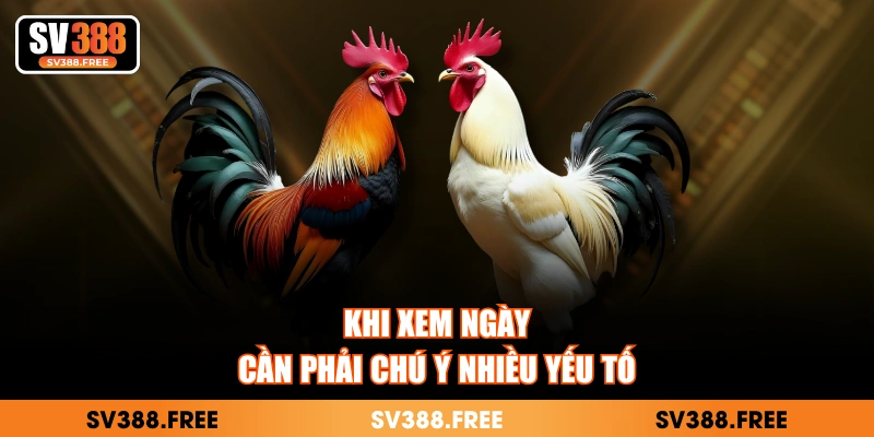 Khi xem ngày cần phải chú ý nhiều yếu tố
