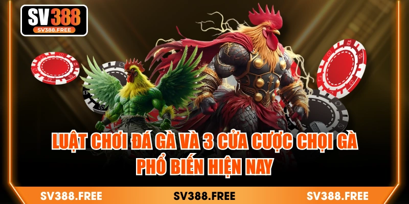 Luật Chơi Đá Gà Và 3 Cửa Cược Chọi Gà Phổ Biến Hiện Nay