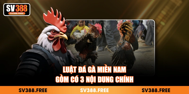 Luật đá gà miền nam gồm có 3 nội dung chính