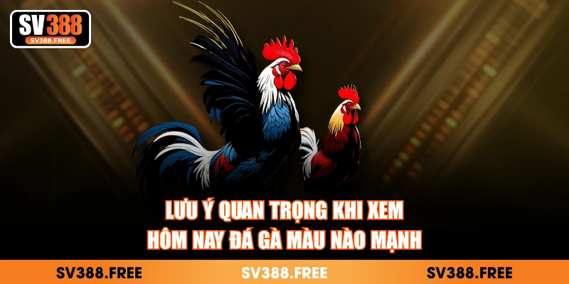 Lưu ý quan trọng khi xem hôm nay đá gà màu nào mạnh