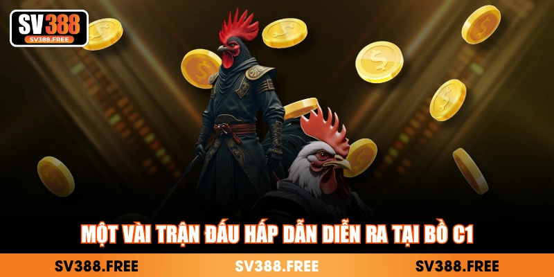 Một vài trận đấu hấp dẫn diễn ra tại bồ C1