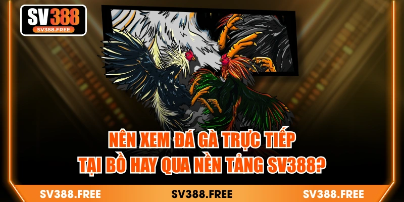 Nên Xem Đá Gà Trực Tiếp Tại Bồ Hay Qua Nền Tảng SV388?