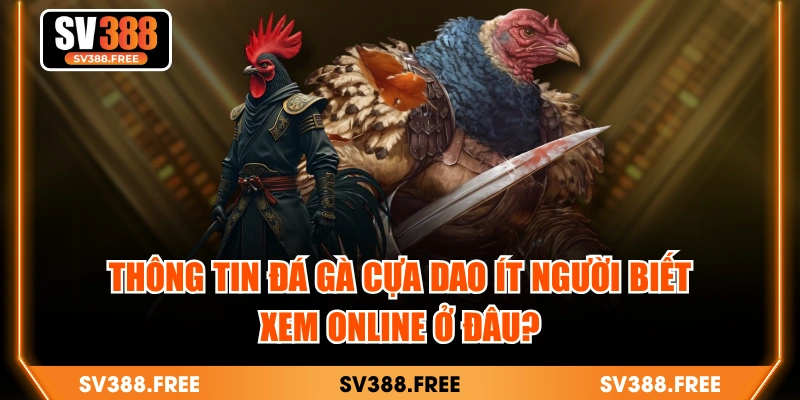 Thông Tin Đá Gà Cựa Dao Ít Người Biết | Xem Online Ở Đâu?