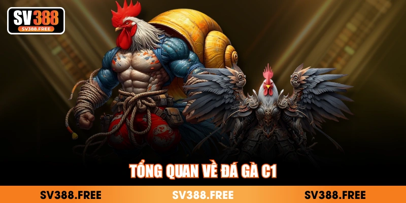 Tổng quan về đá gà C1
