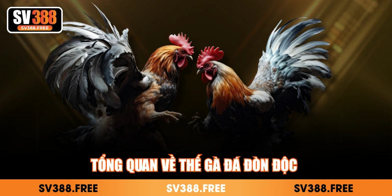 Tổng quan về thế gà đá đòn độc 
