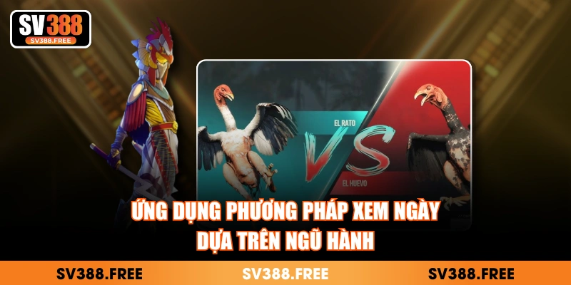 Ứng dụng phương pháp xem ngày dựa trên ngũ hành