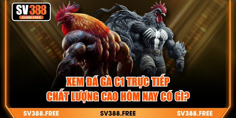 Xem Đá Gà C1 Trực Tiếp Chất Lượng Cao Hôm Nay Có Gì?
