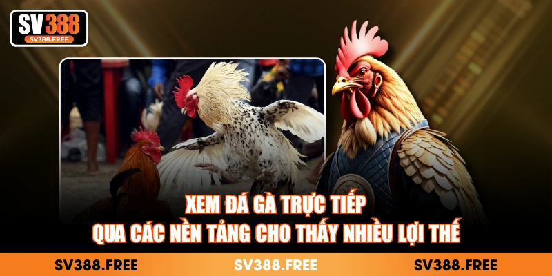 Xem đá gà trực tiếp qua các nền tảng cho thấy nhiều lợi thế