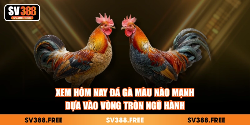 Xem hôm nay đá gà màu nào mạnh dựa vào vòng tròn ngũ hành