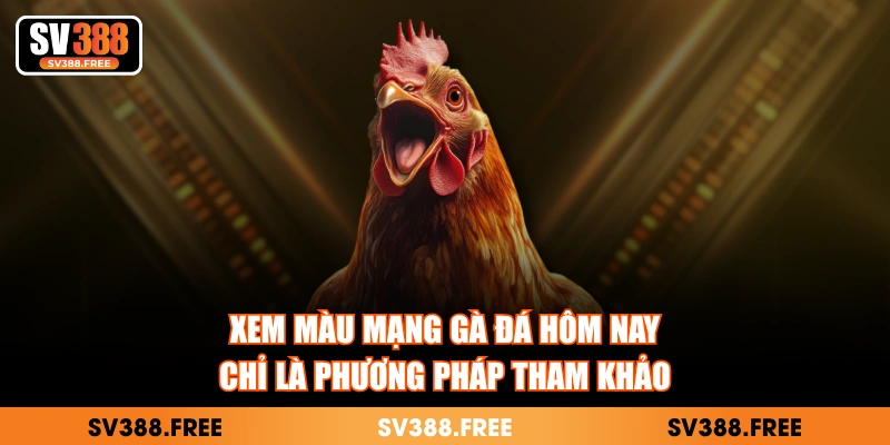 Xem màu mạng gà đá hôm nay chỉ là phương pháp tham khảo
