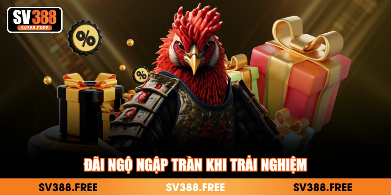 Đãi ngộ ngập tràn khi trải nghiệm