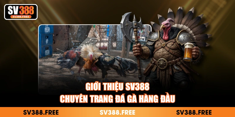 Giới thiệu SV388 - chuyên trang đá gà hàng đầu