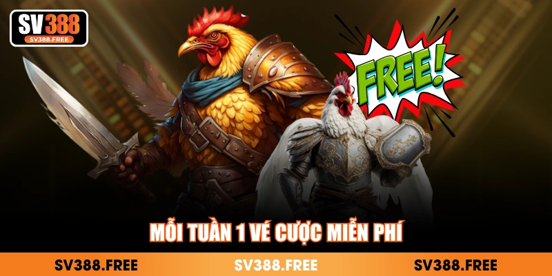 Mỗi tuần 1 vé cược miễn phí