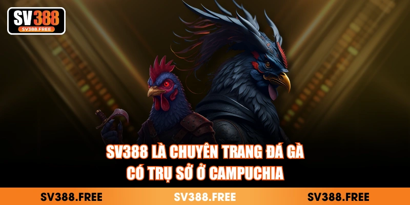 SV388 là chuyên trang đá gà có trụ sở ở Campuchia