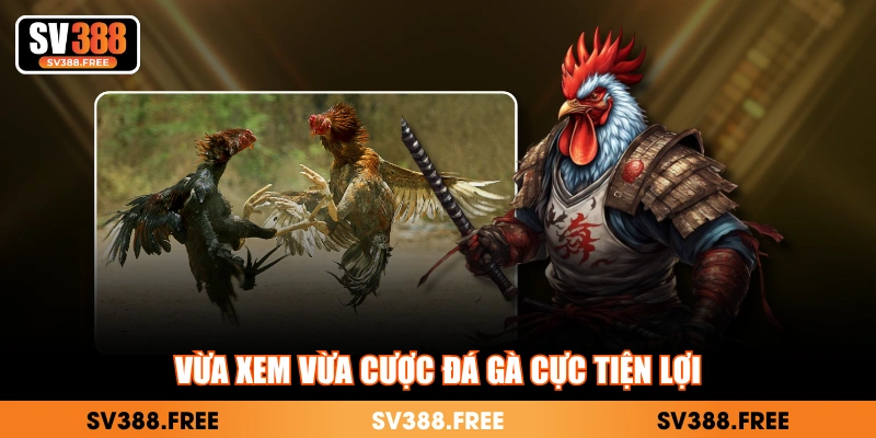 Vừa xem vừa cược đá gà cực tiện lợi